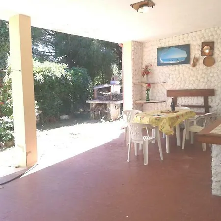 Nuraponti Green
