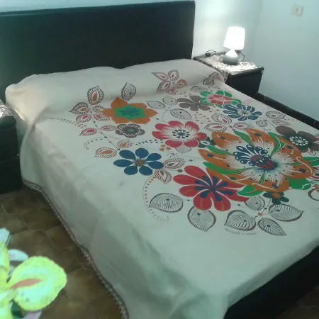 Vakantiehuis Nuraponti Green
